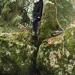 Greenholidays Wellendingen