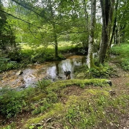 Greenholidays Holiday home *