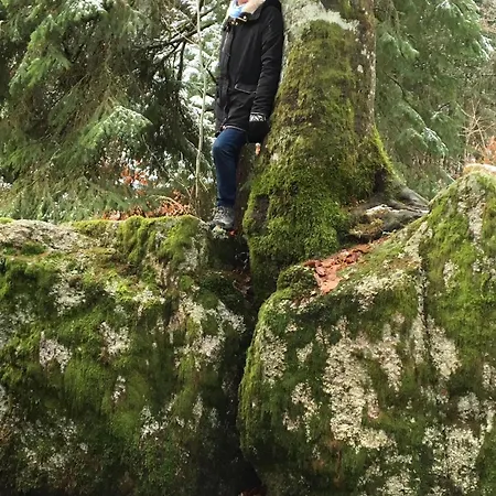 Greenholidays Wellendingen