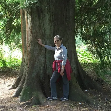 Hébergement de vacances Greenholidays *