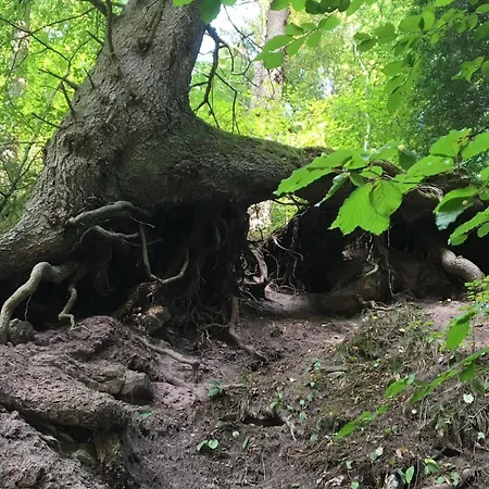 Hébergement de vacances Greenholidays Wellendingen