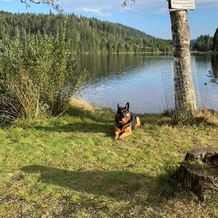 Greenholidays Nyaraló *