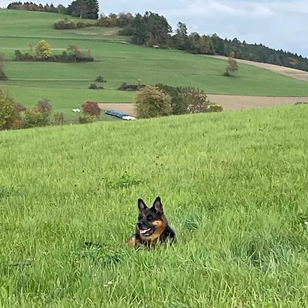 Greenholidays Hébergement de vacances *