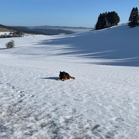 Greenholidays Nyaraló Wellendingen