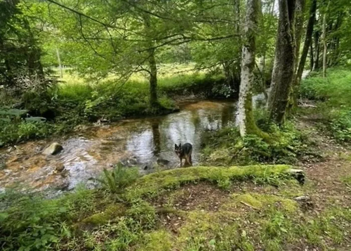 Greenholidays Сasa de vacaciones *