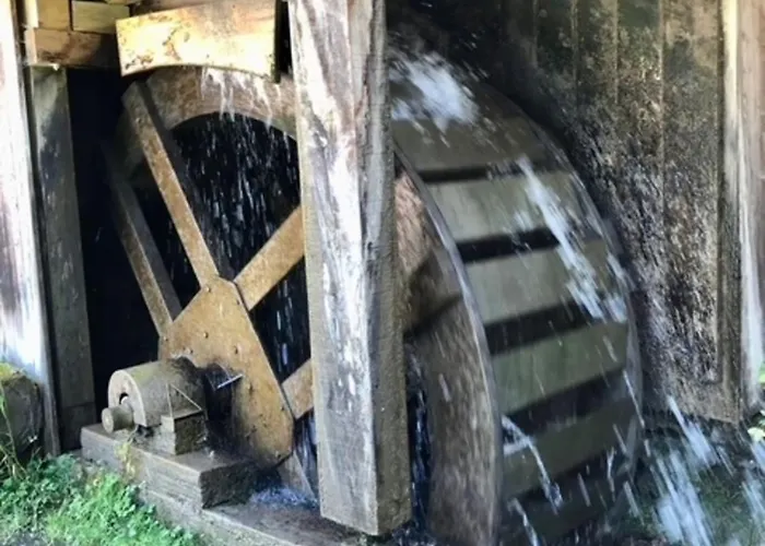 Сasa de vacaciones Greenholidays Wellendingen