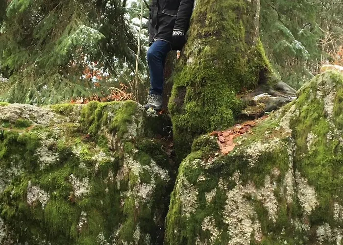 Greenholidays Wellendingen