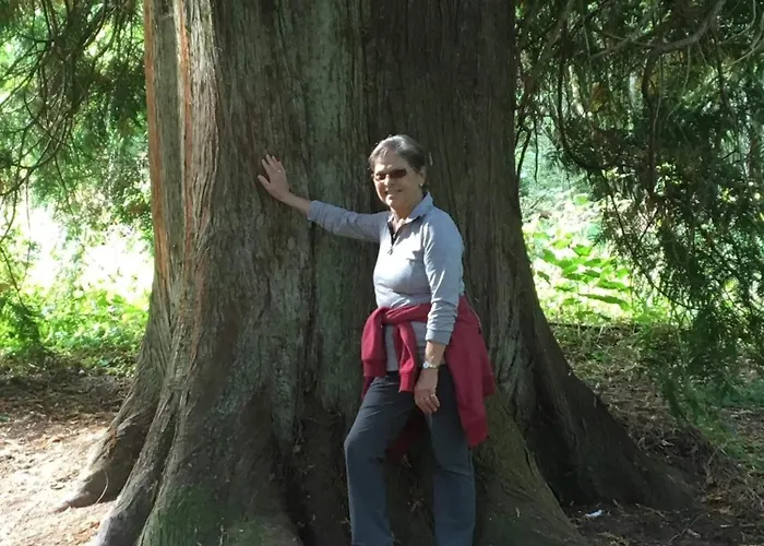 Сasa de vacaciones Greenholidays *