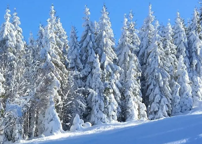 Сasa de vacaciones Greenholidays Wellendingen