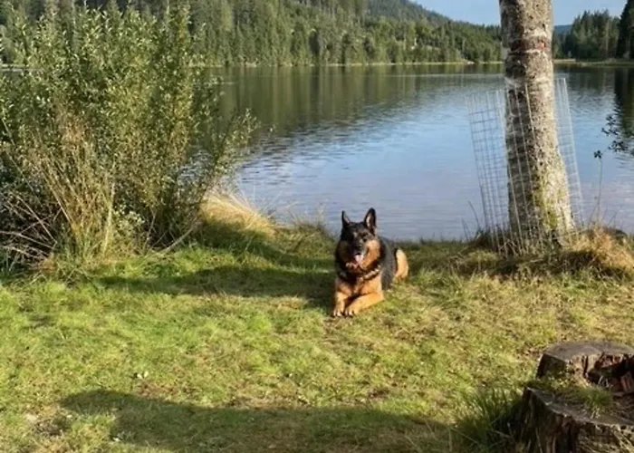 Greenholidays Сasa de vacaciones *