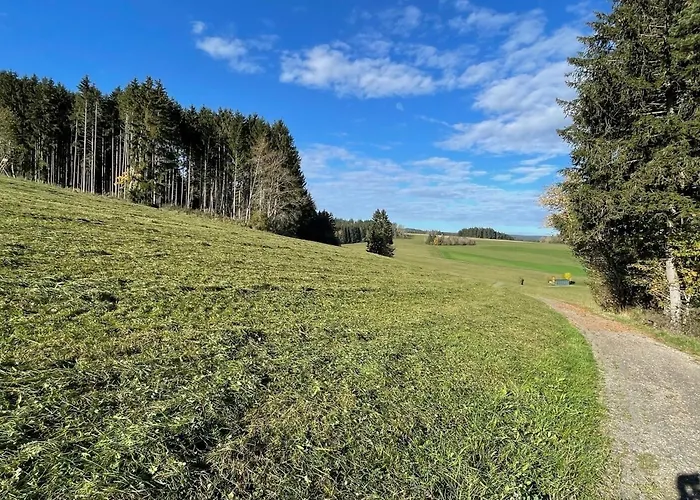 Greenholidays Wellendingen