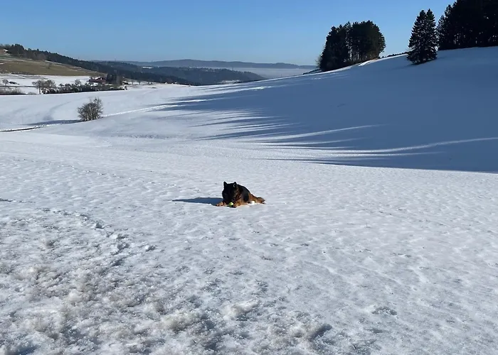 Greenholidays Сasa de vacaciones Wellendingen