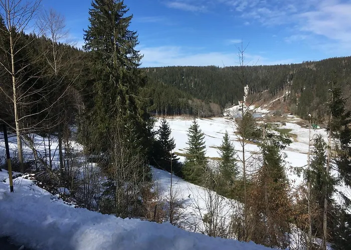 Greenholidays Wellendingen